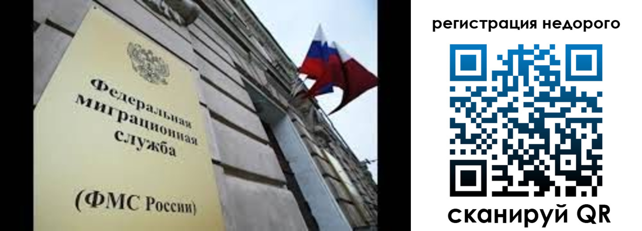 прописка поиск в Благовещенске